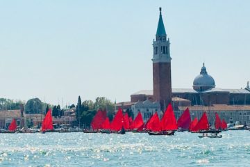 Red sails on little boats on the water